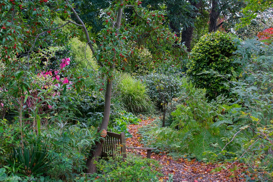 King's Arms Garden, Ampthill, Bedfordshire, MK45 2PP National Garden